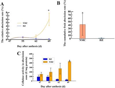 Signaling pathways mediating the induction of preharvest fruit drop in litchi